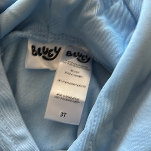 Bluey Dance Mode Hoodie - Picture 5 of 5